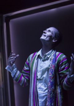 LES FARFADETS. Julien Tsongas. Photo©Sarah Maitrot